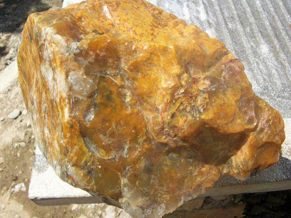 Ҷʯӹɶ豸Ҷʯ|Ҷʯĥۻ