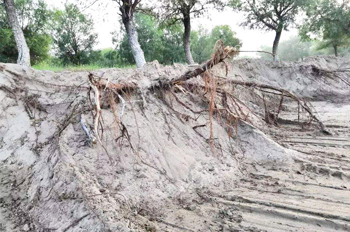 ʯϷ۳ɳӵļ۸Ƕ٣ļҺã