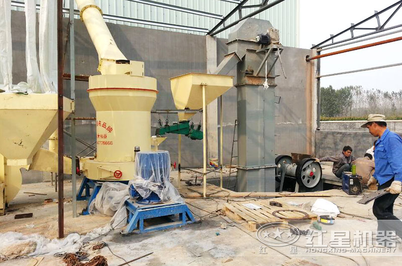 ϸȿɴ100ĿĥͺЩż۸Ǯ