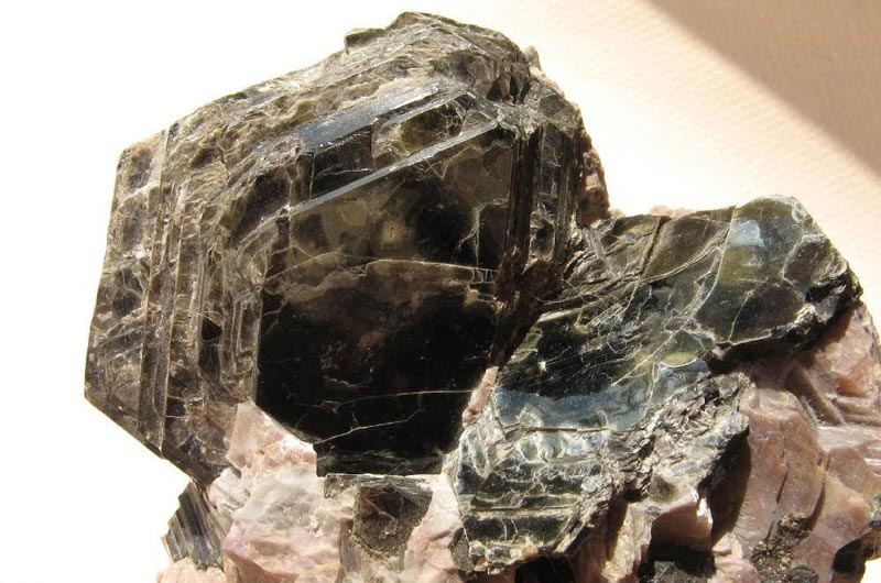 ĥĸĥۻ|ĸĥۻ豸Ƽ